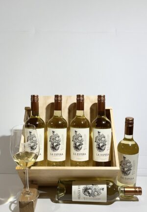 IMG_6185-scaled-1.jpg Unser Discount Wein - Paket 1