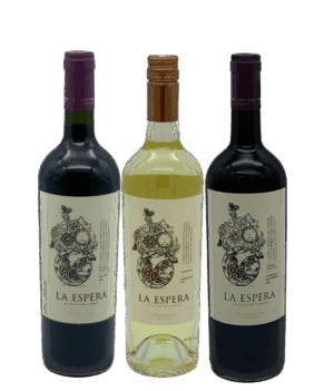 Funckenhausen x 6 Flaschen-Torrontés, Malbec, Cab. Sauvignon